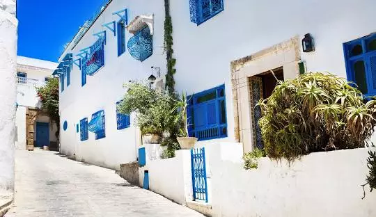 تور ترکیبی تونس